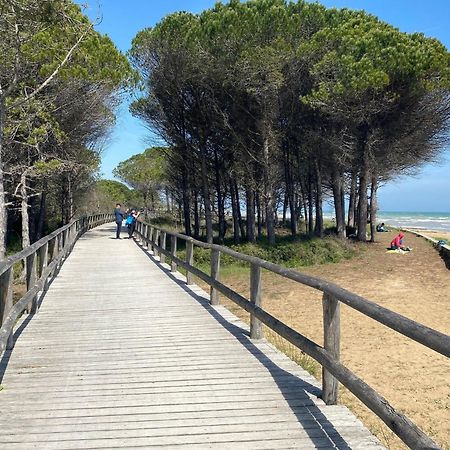 Cozy Villa 250 Metres From The Beach - Beahost - 比比翁 外观 照片